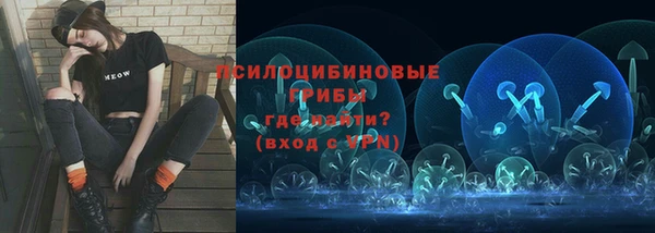 МДПВ Алзамай
